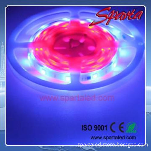 IP68 christmas led strip light outdoor use
